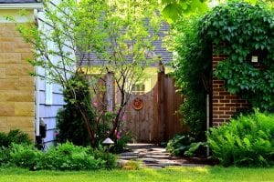 4 Tips for Creating Innovative Landscapes On A Budget