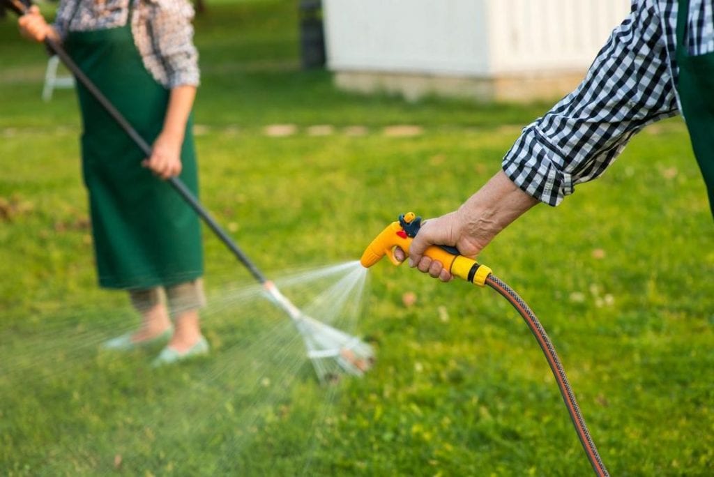 The Do's And Don'ts Of Garden Maintenance Across Sydney’s Seasons