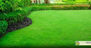 Garden Maintenance for Sydney Lawns How to Get Them Christmas-Ready